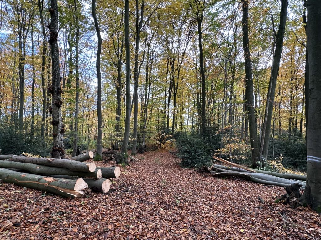 Brennholzverkauf