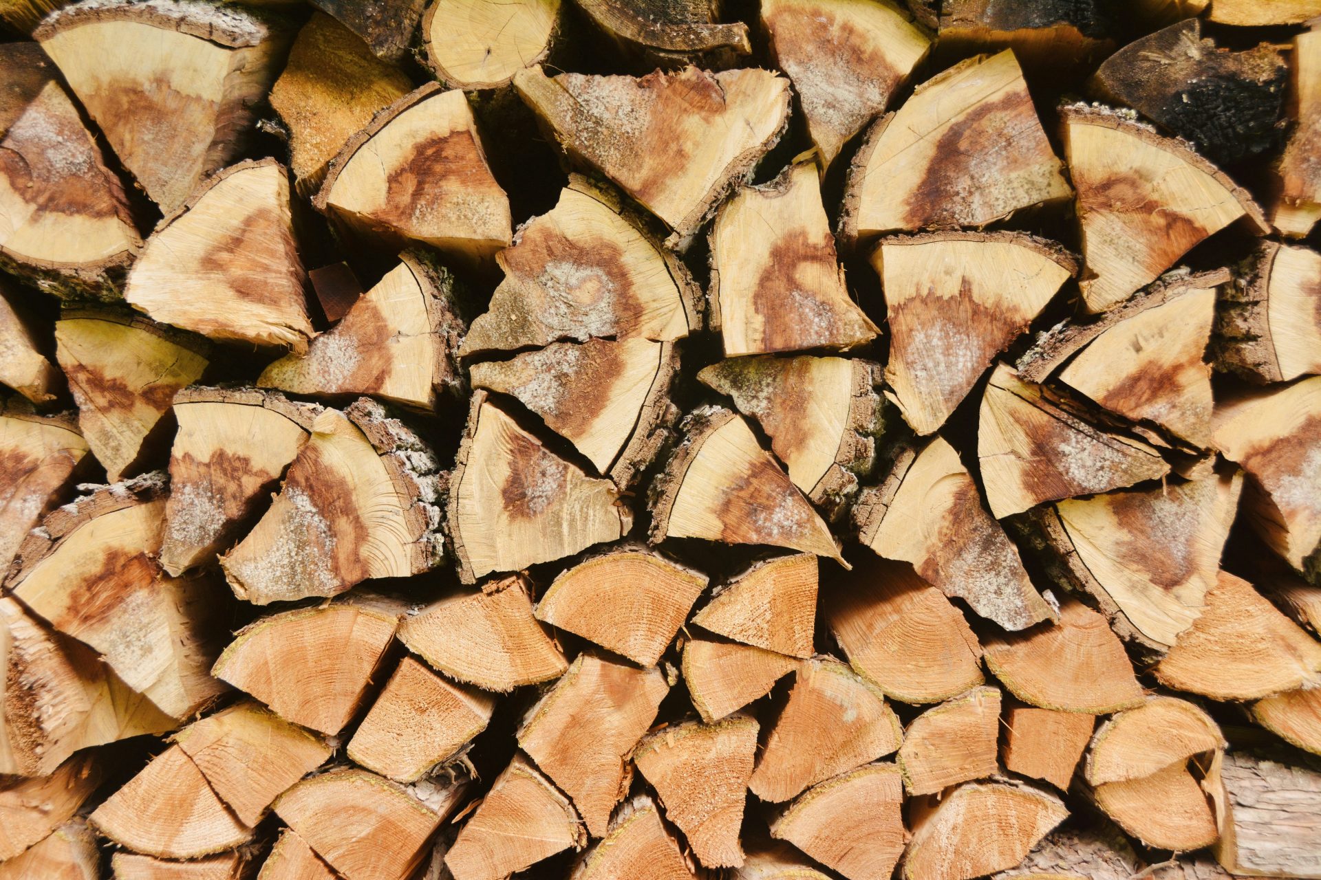 Gehackter Holzscheit